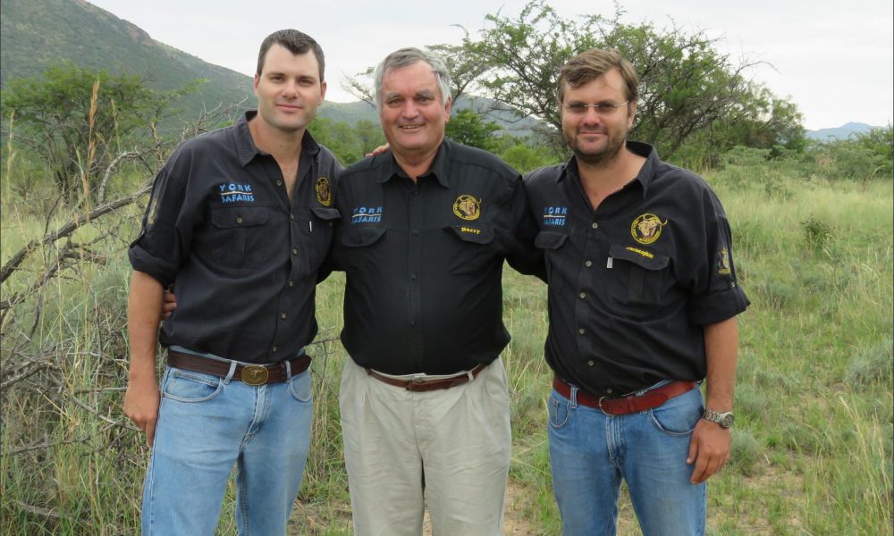 york-family-golden-wildebeest